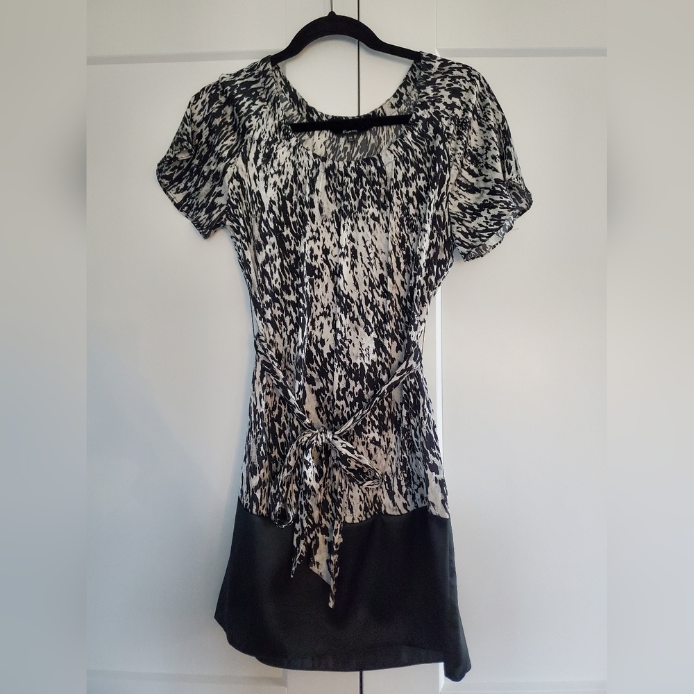 Animal Print Express Silk Dress